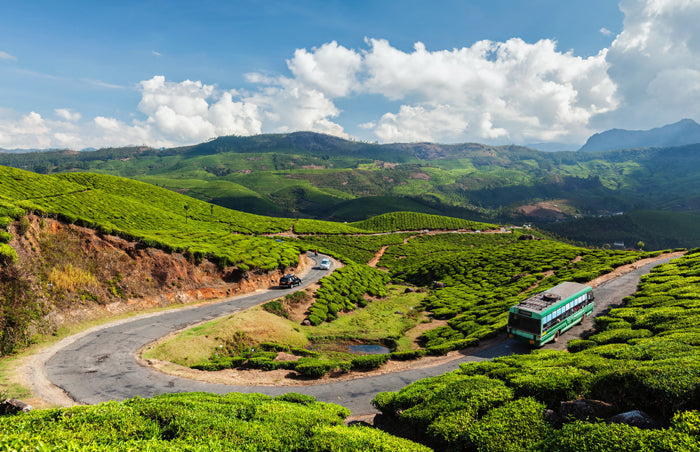 How to drive in India?