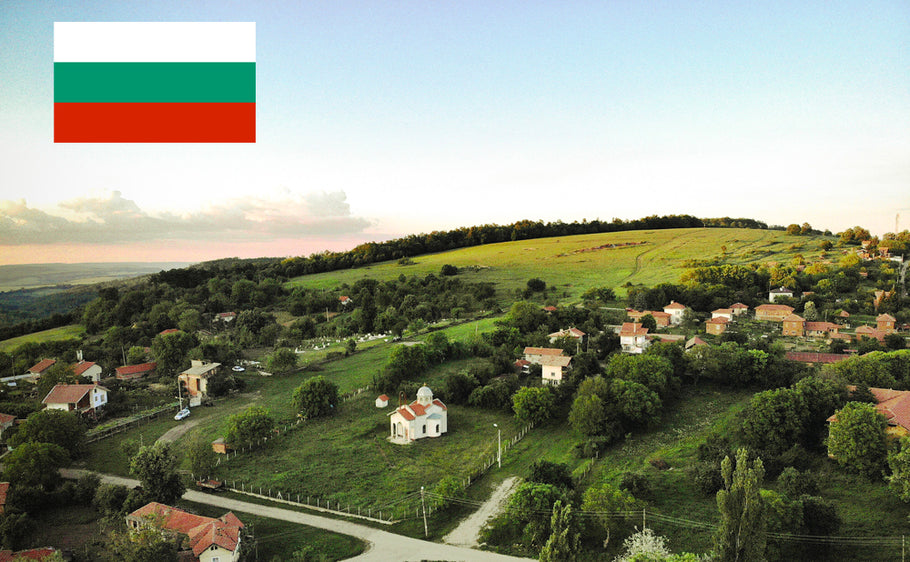 保加利亚的国际驾照
