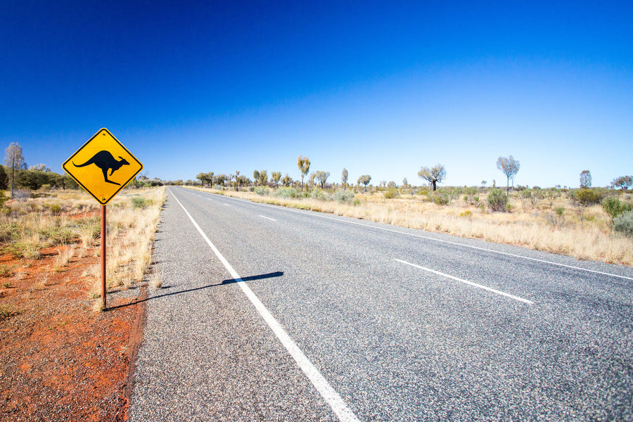 Todo lo que debe saber sobre la obtención de un permiso de conducir internacional para viajar a Australia