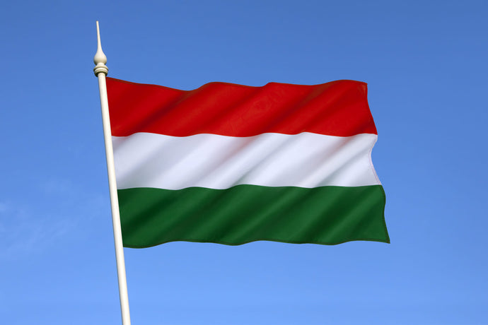 How to obtain an International Driver's License for Traveling to Hungary