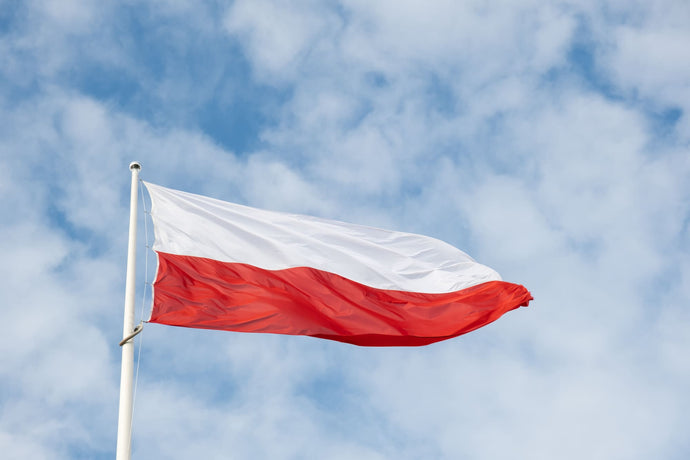 How to obtain an International Driver's License for Traveling to Poland