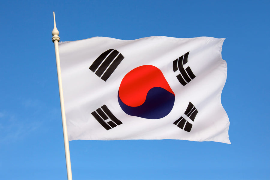 How to obtain an International Driver's License for Traveling to South Korea